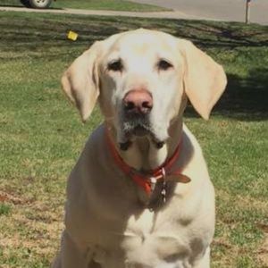 Meet your Posher, Jay